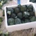 兰州榆中西兰花大量上市狼牙棒净菜价格合理