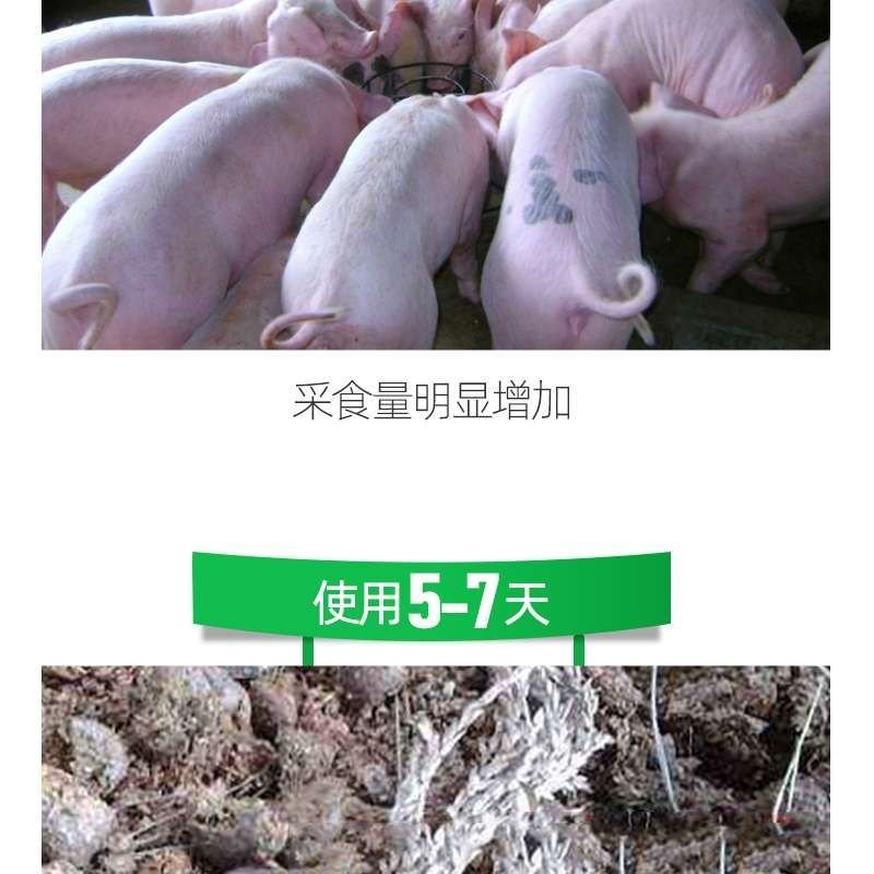 猪饲料，日长三斤，如何养猪长得快就用肥猪菜，猪饲料添加剂