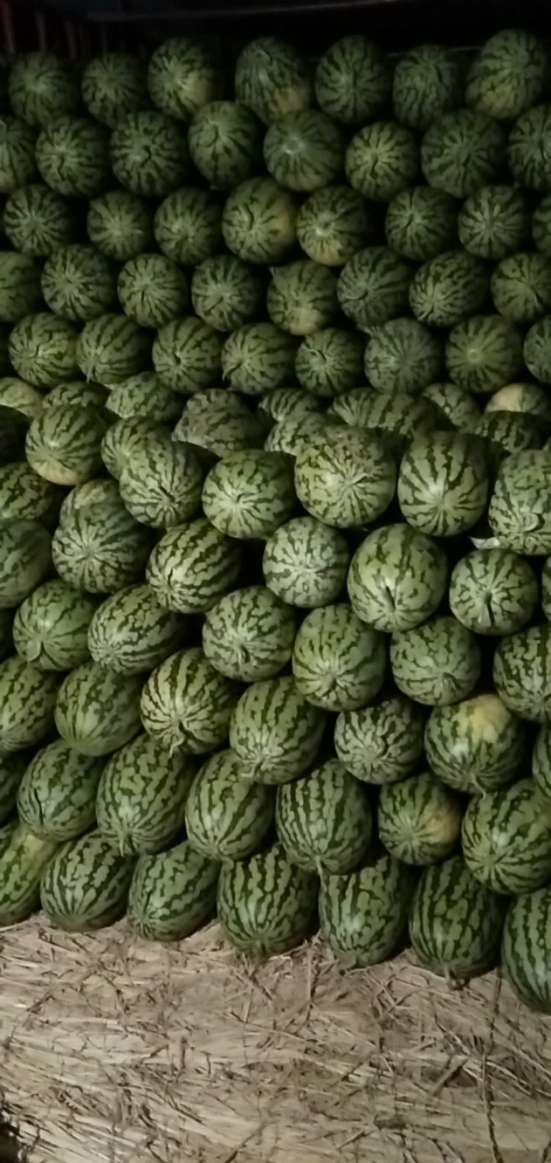 宁夏中卫石头瓜硒砂瓜。大量上市。诚信经营，合作共赢。质量