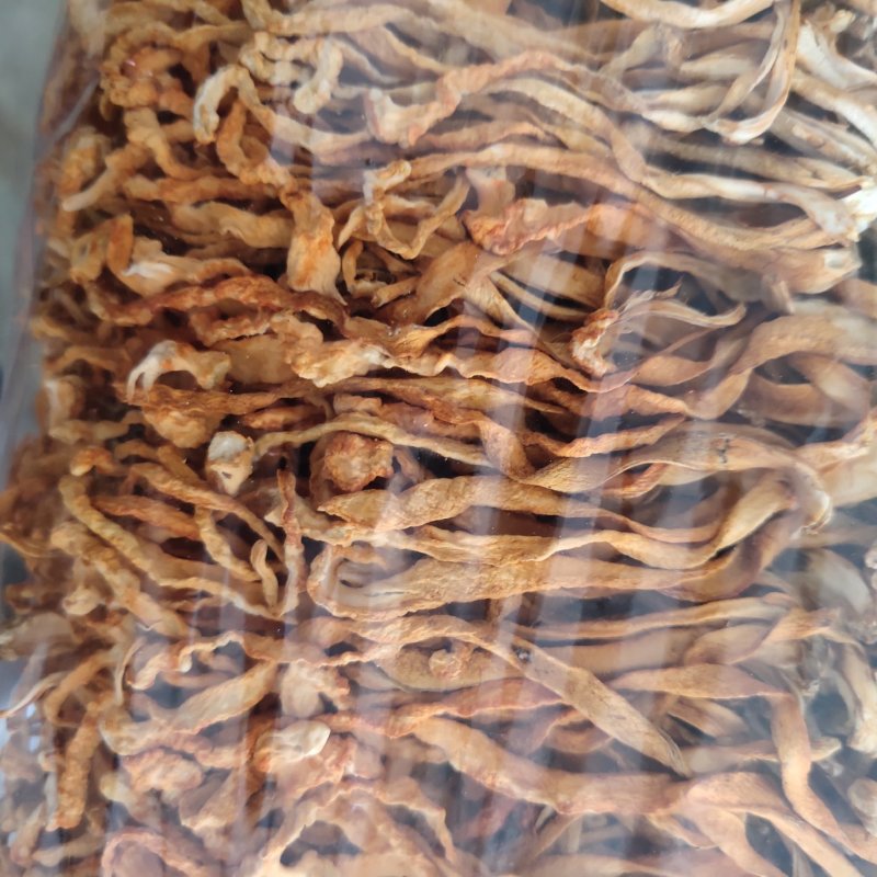 虫草花选，新货无根无杂质关书药业品质保证量大