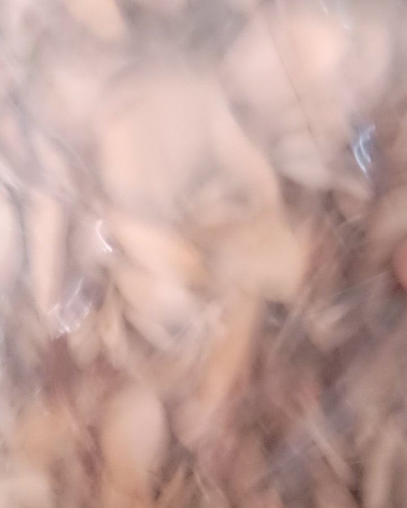 了哥王，常年批发供应冷背中药材了哥王，