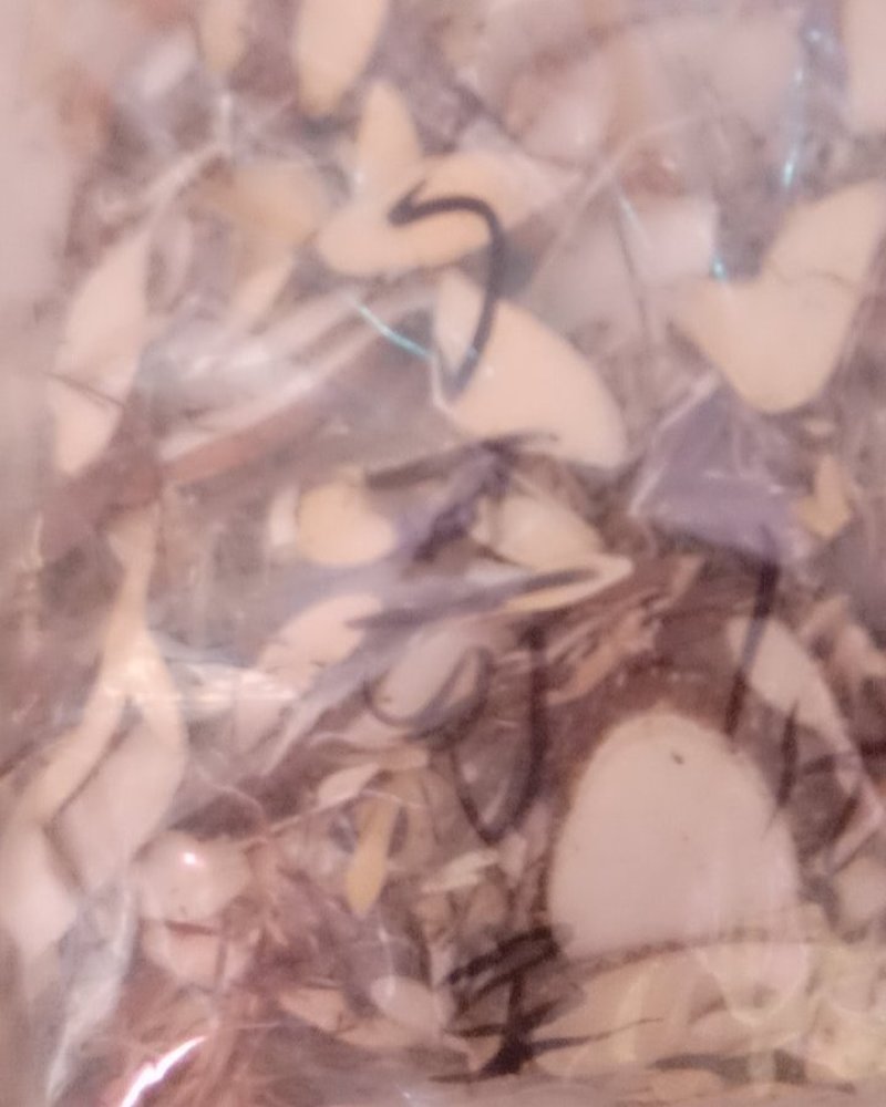 了哥王，常年批发供应冷背中药材了哥王，