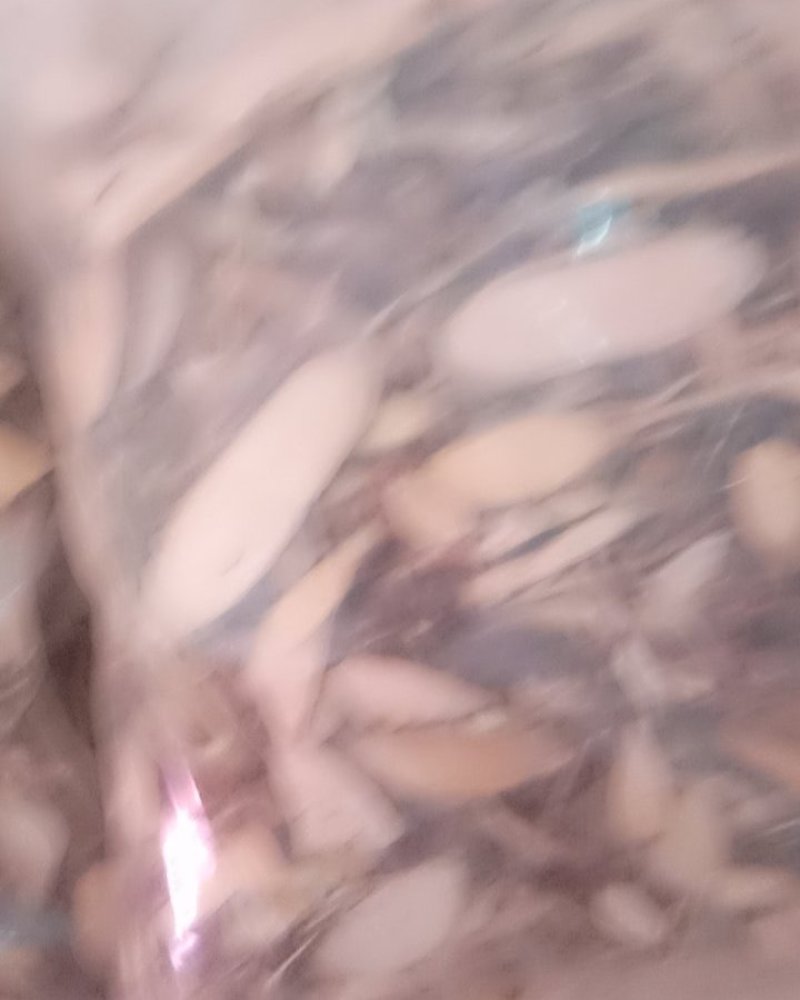 了哥王，常年批发供应冷背中药材了哥王，