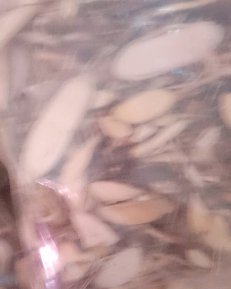 了哥王，常年批发供应冷背中药材了哥王，