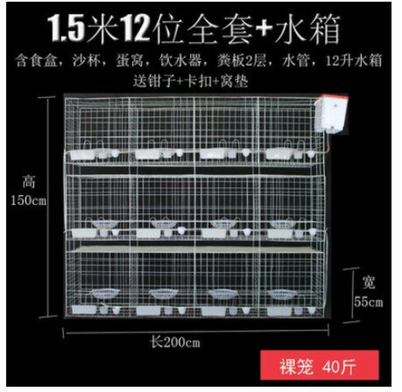 特价加粗鸽子养殖笼合作社直供12位16位配对笼