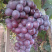 葡萄🍇
