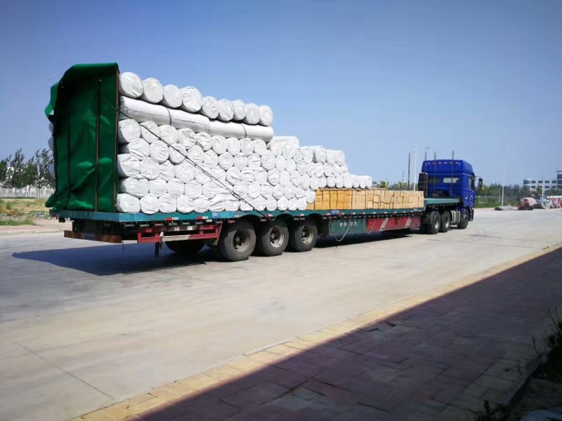 绿色土工布建筑工地环保绿化专用布标准国标工程布防尘布毛毡