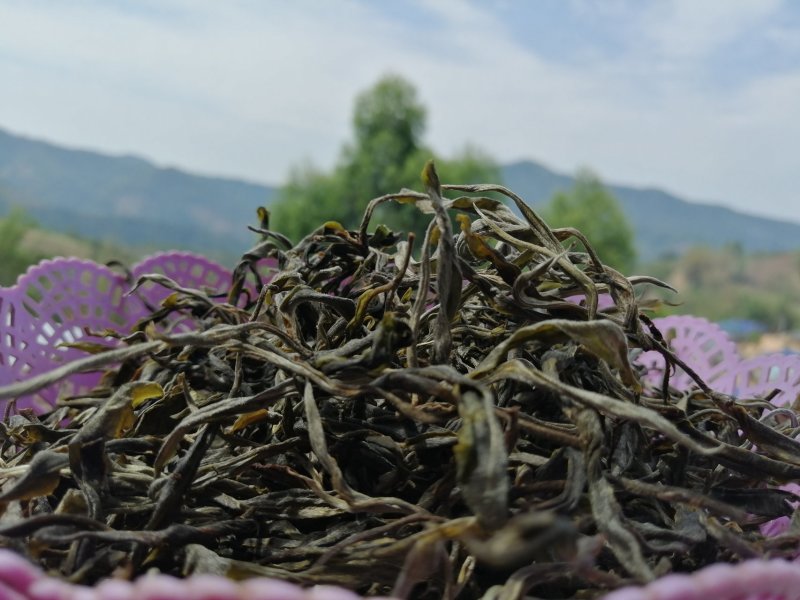 勐海县布朗山茶区自产自销