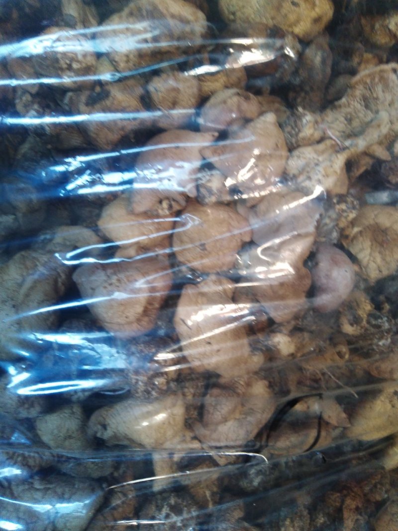 蘑菇野生紫花脸蘑菇营养价值高。口感好，肉质细腻！
