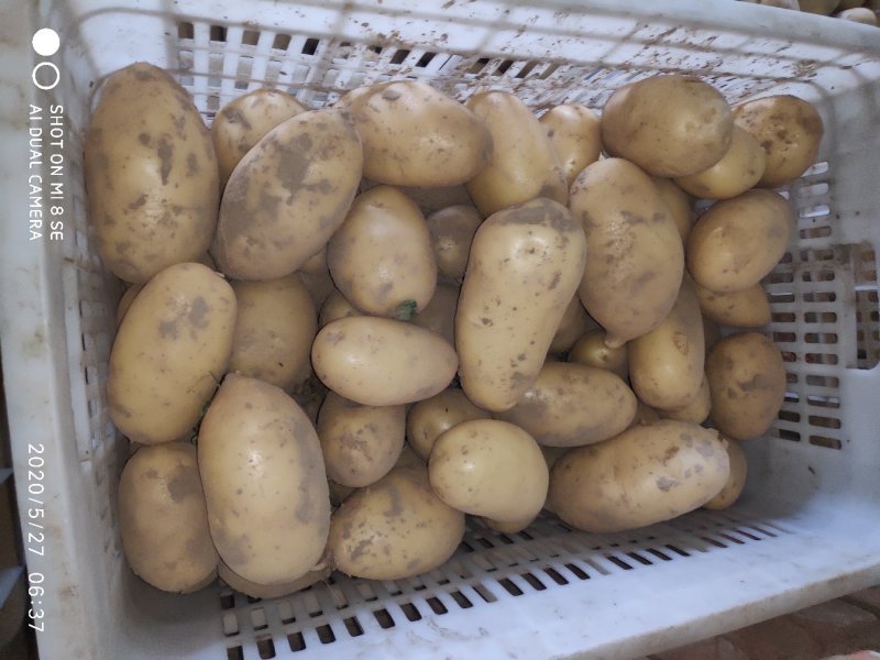 希森六号