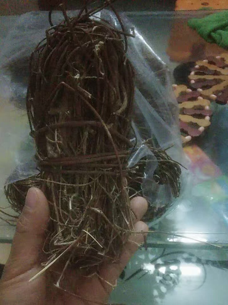 野生鸡骨草益肝老藤叶中药材5材料可