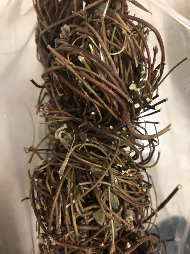野生鸡骨草益肝老藤叶中药材5材料可