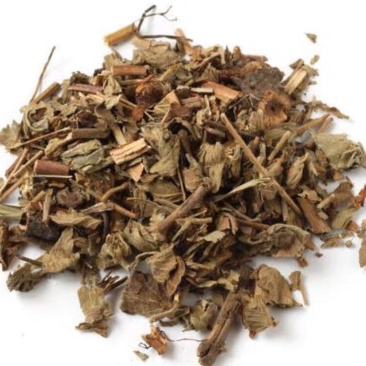 大别山仙鹤草仙鹤草中药龙芽草脱力草狼仙鹤草
