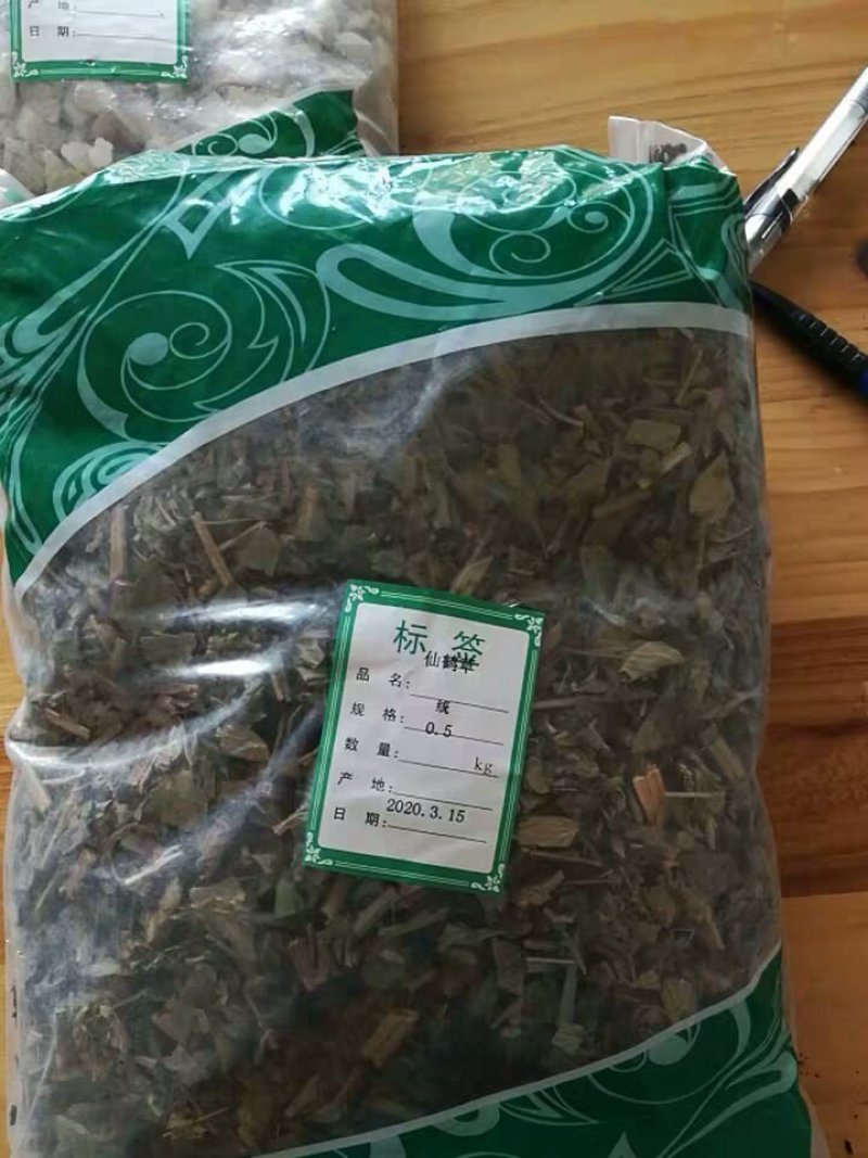 大别山仙鹤草仙鹤草中药龙芽草脱力草狼仙鹤草