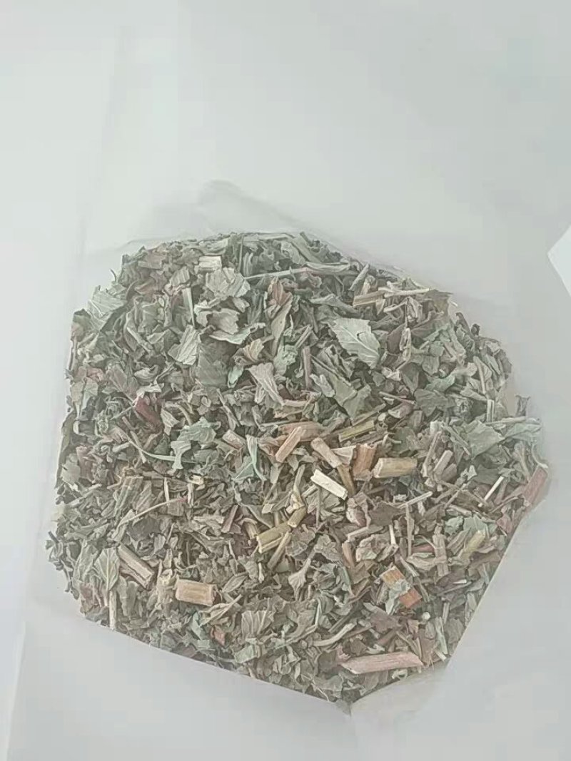 大别山仙鹤草仙鹤草中药龙芽草脱力草狼仙鹤草