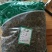 大别山仙鹤草仙鹤草中药龙芽草脱力草狼仙鹤草