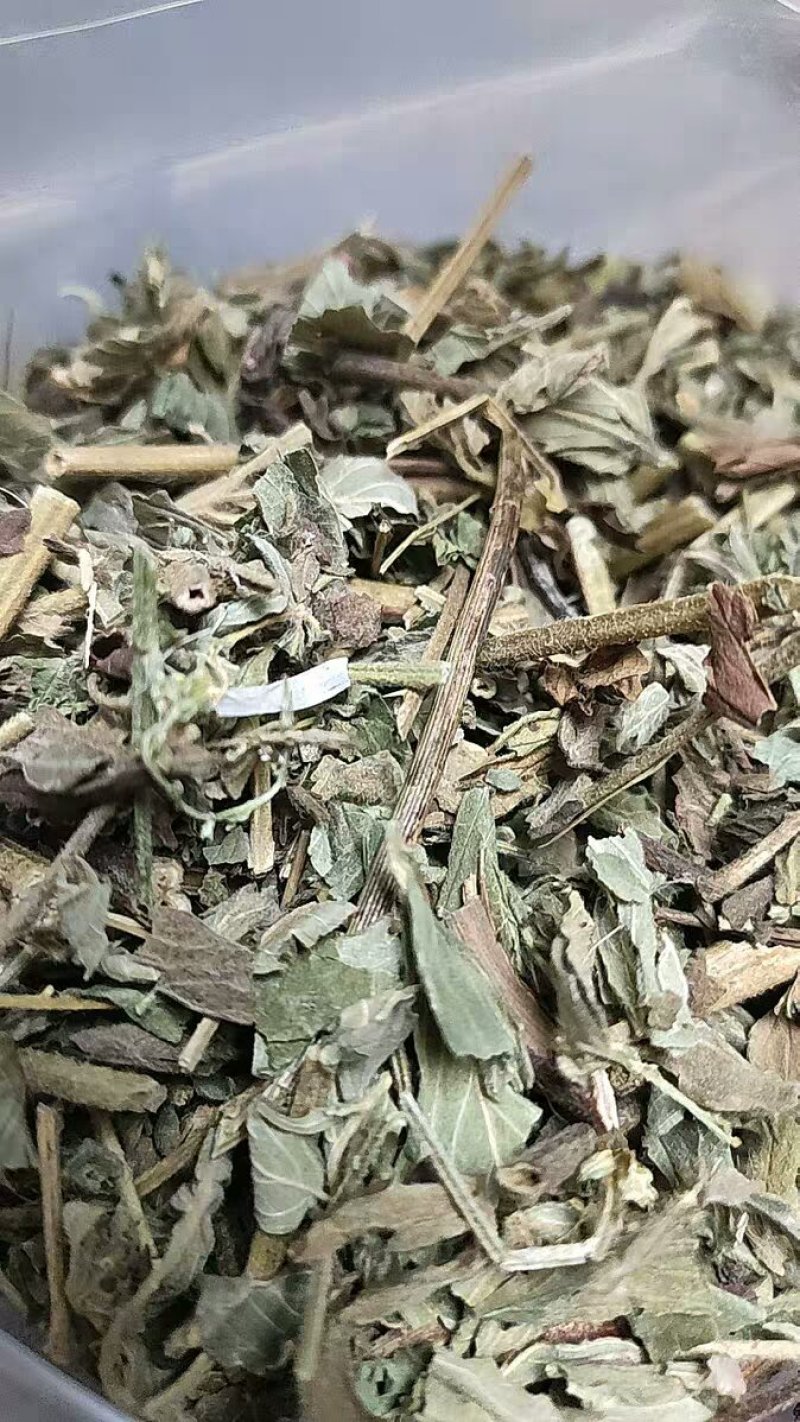 大别山仙鹤草仙鹤草中药龙芽草脱力草狼仙鹤草