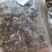 翻白草整颗番白草切片干11