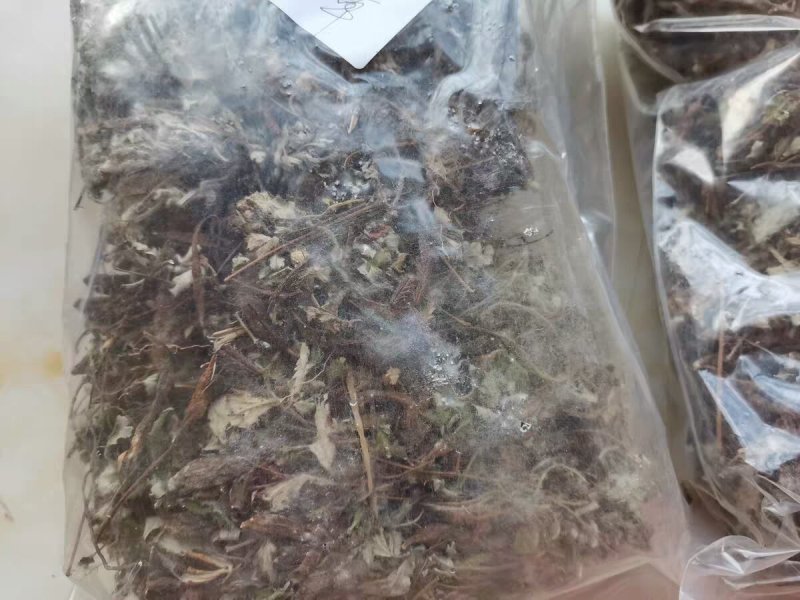 翻白草整颗番白草切片干11