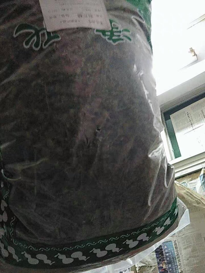 荆芥穗药材荆芥穗手荆芥穗荆芥