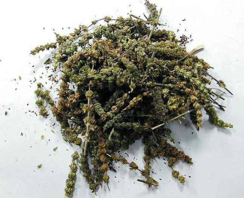 荆芥穗药材荆芥穗手荆芥穗荆芥