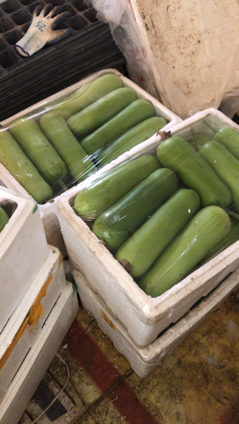 精品短瓠子