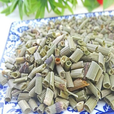 中药材节节草木贼草节骨草11
