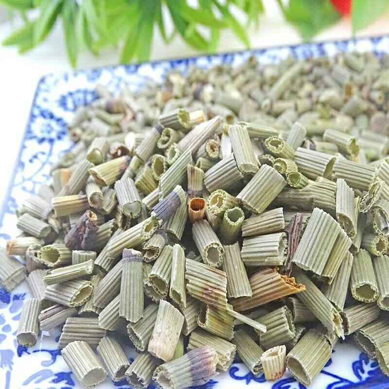 中药材节节草木贼草节骨草11