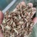 忍冬藤金银花藤干品无硫熏正品一公斤起发货