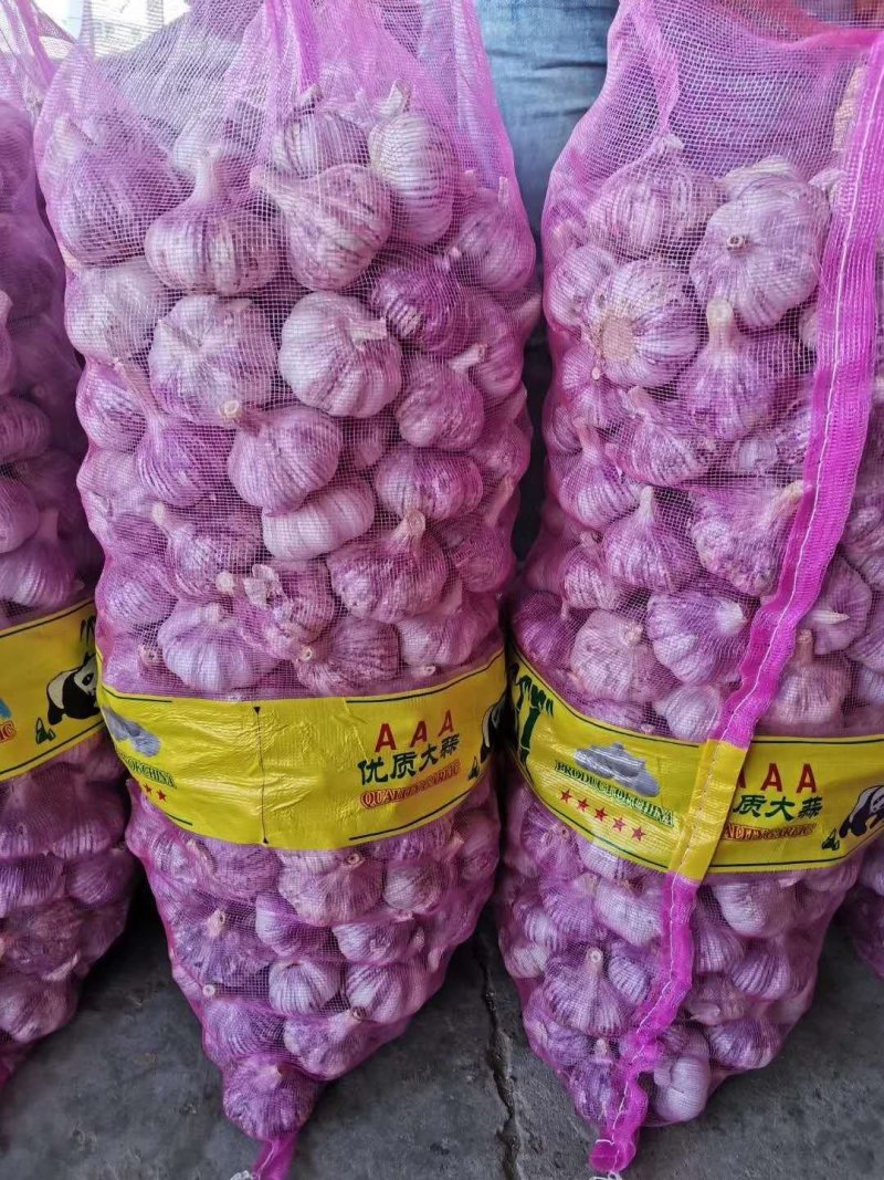 精品金乡紫皮大蒜，产地直发代发全国，专业加工规格齐全