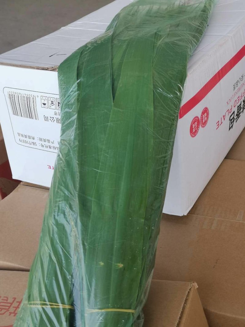 粽叶白洋淀野生芦苇叶