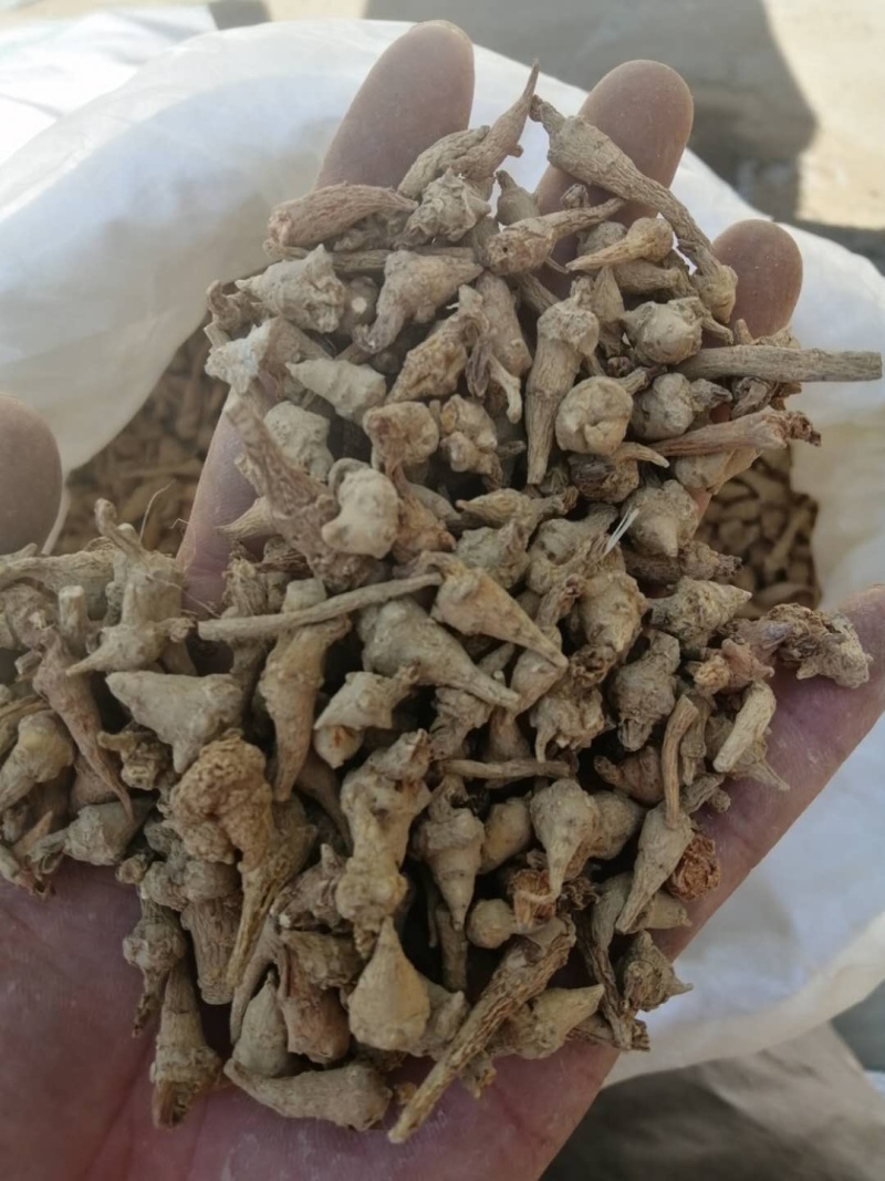 昌玉药材三七芽量大可代打粉产地直销