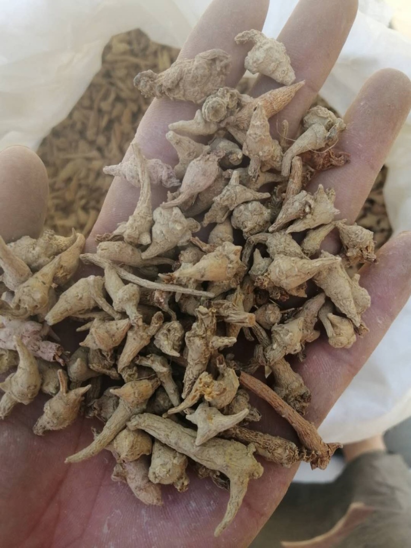 昌玉药材三七芽量大可代打粉产地直销