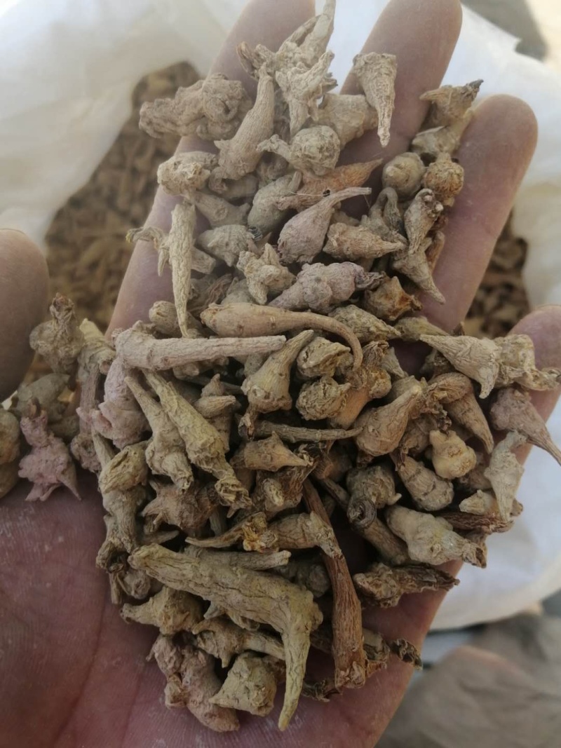 昌玉药材三七芽量大可代打粉产地直销