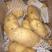 精选荷兰15土豆大量上市。全国发货。产地直销。一手货源。