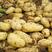 精选荷兰15土豆大量上市。全国发货。产地直销。一手货源。