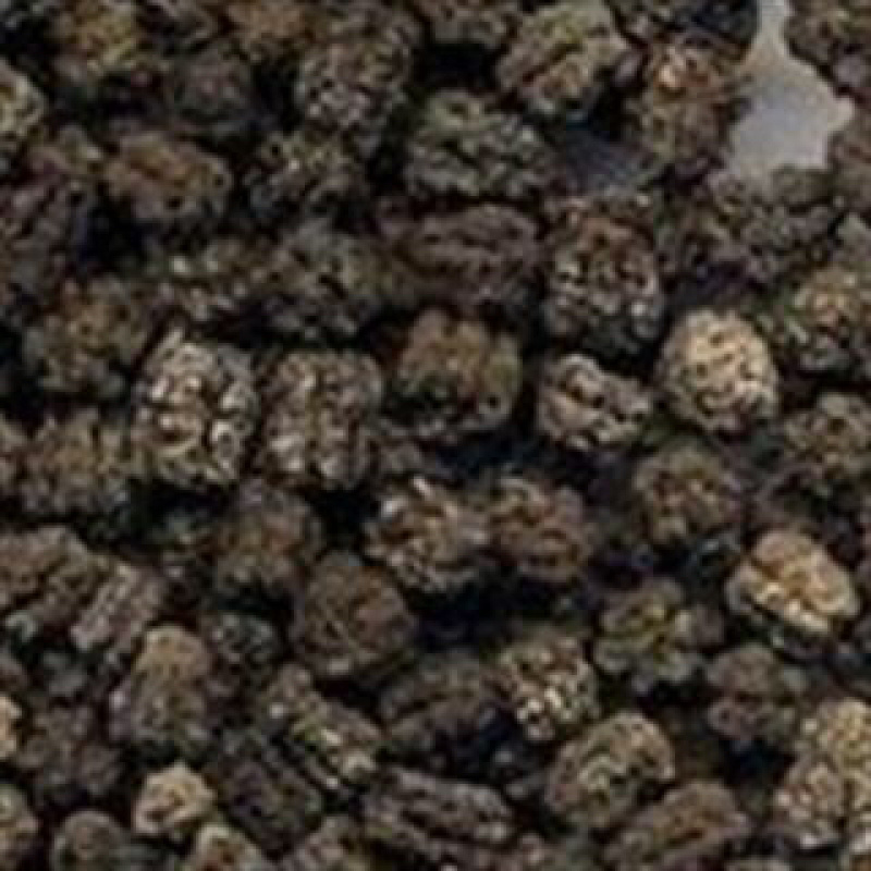 昌玉药材蚕沙产地直销质量保证