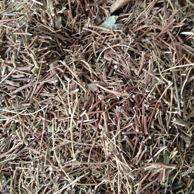 鸡骨草干鸡骨草段整棵中药材11