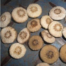 昌玉药材枳实产地直销质量保证正品