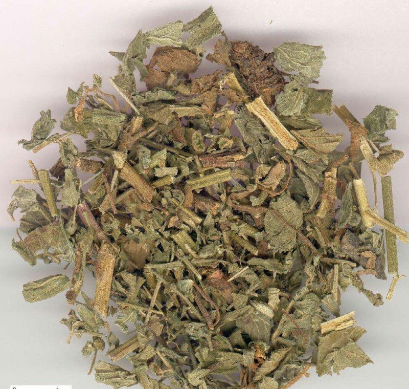 仙鹤草中药材龙牙草先鹤草中药材