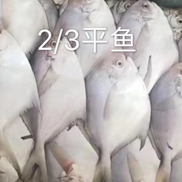 平鱼批发
