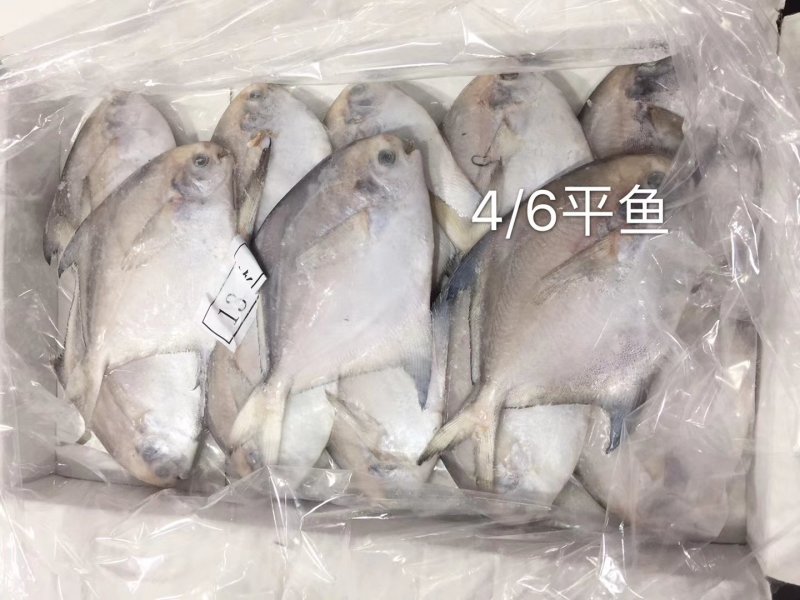 平鱼批发