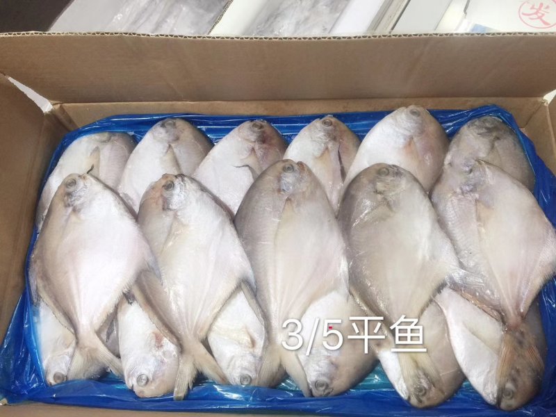 平鱼批发