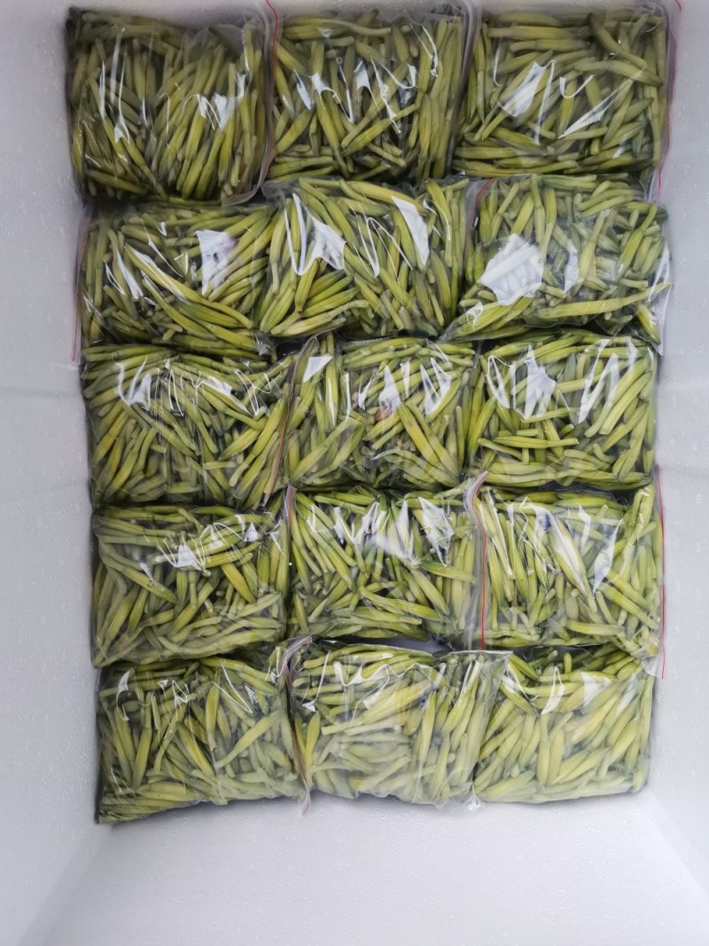 鲜黄花菜已上市保证新鲜保证质量当天农家采摘