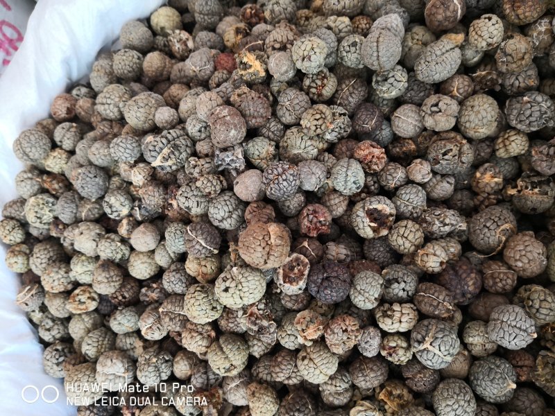 草豆蔻选货个子大粒量大从优欢迎选购