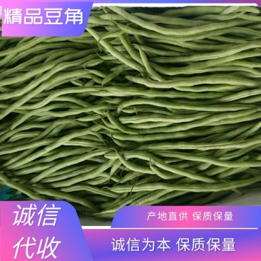 【实力商家】产地直发【质量上乘】诚信经营【价格合理】豆角
