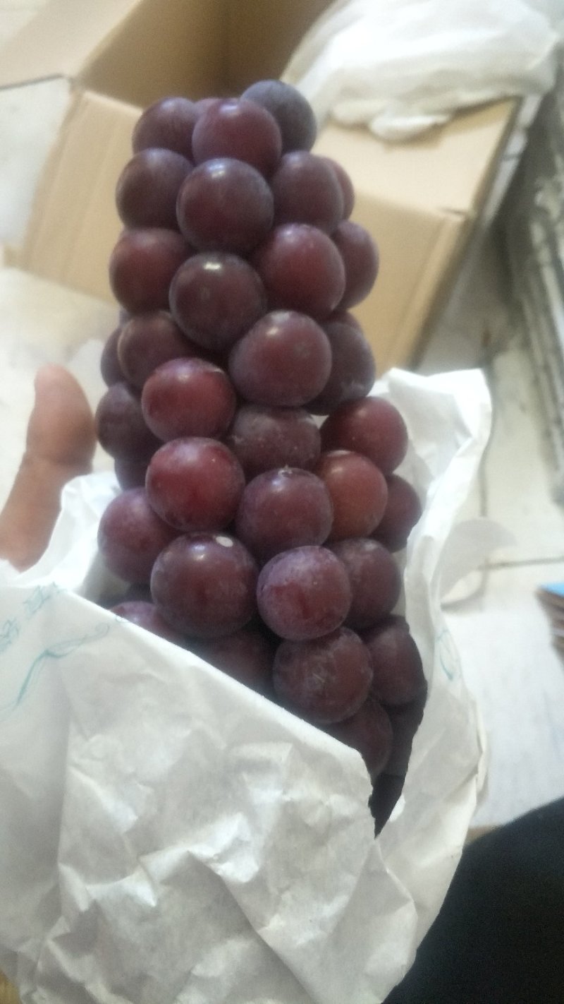 安徽省宿州市萧县夏黑葡萄，精品中的精品