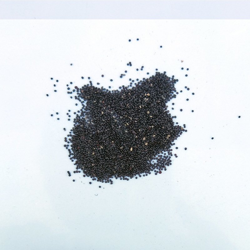 青葙子青箱子可打粉批发零售中药材品质保证