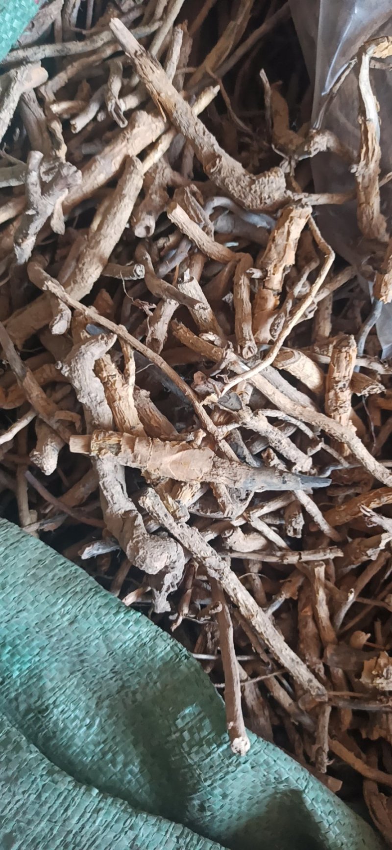 鸡骨香可打粉专业经营中药批发品质保证