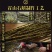 霍山仿野生铁皮石斛枫斗精品铁皮石斛鲜条干条干花